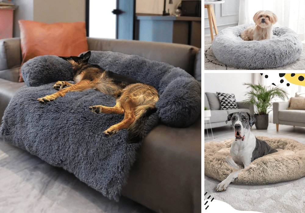 5 Calming Dog Beds: A Snooze-Worthy Solution for Your Furry Friend!