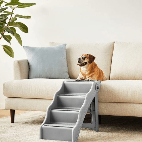 5 Dog Stairs: Helping Fido Conquer New Heights!
