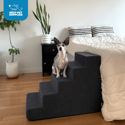 5 Dog Stairs: Helping Fido Conquer New Heights!