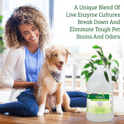 5 Solutions to Remove Dog Urine Smell From Your Carpet: Which One Will Take the Stink Away?