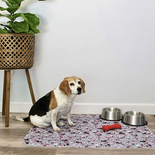 Pledge to Piddle-Proof Your Home: We Review 5 Washable Pee Pads for Dogs