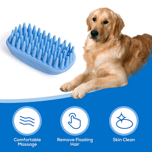 Bone-A-Fide Beauty: The 8 Best Dog Brushes to Keep Your Pup Looking Their Best