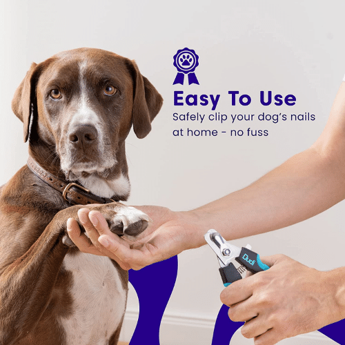 Paw-Fect Pedicure: How to Trim Your Dog's Nails with 5 Easy-To-Use Nail Clippers!