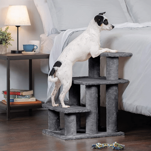 5 Dog Stairs: Helping Fido Conquer New Heights!
