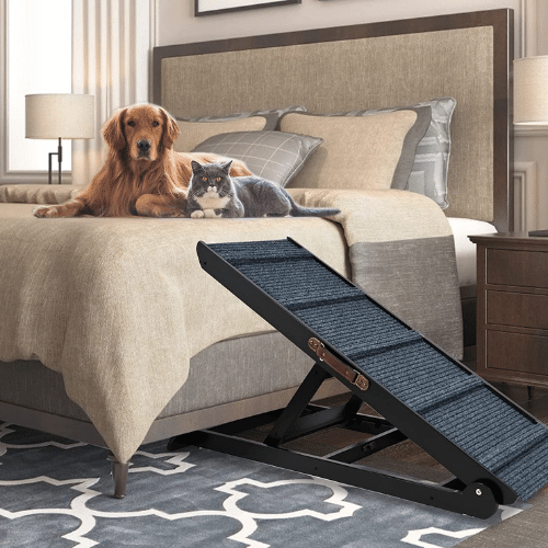 5 Dog Stairs: Helping Fido Conquer New Heights!