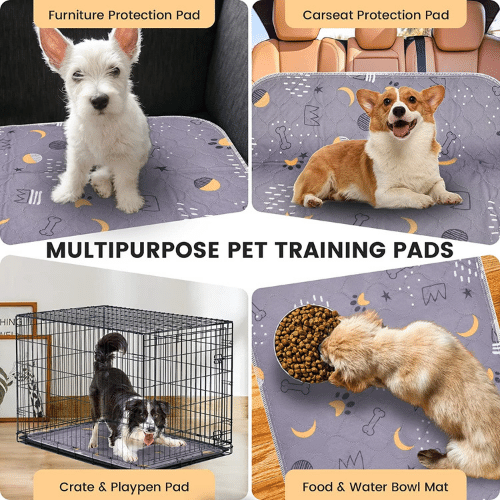 Pledge to Piddle-Proof Your Home: We Review 5 Washable Pee Pads for Dogs