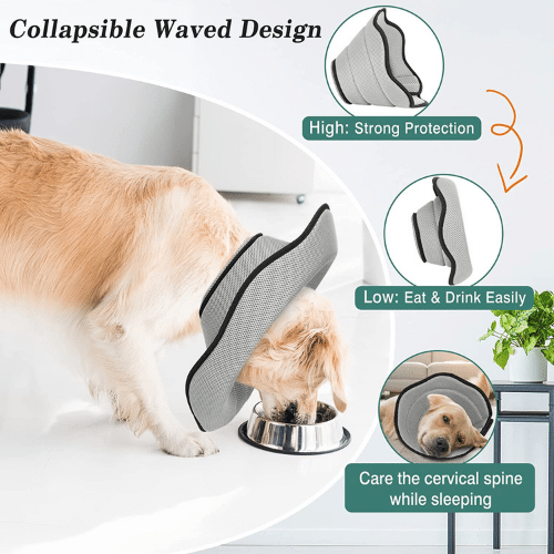 3 Elizabethan Collars for Dogs--Unleash the Inner 'Cone of Shame'!