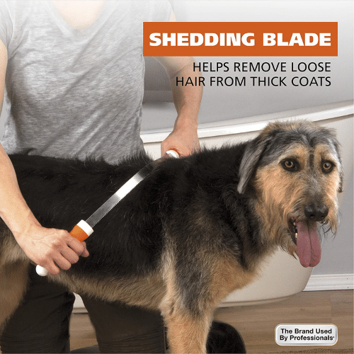 Bone-A-Fide Beauty: The 8 Best Dog Brushes to Keep Your Pup Looking Their Best