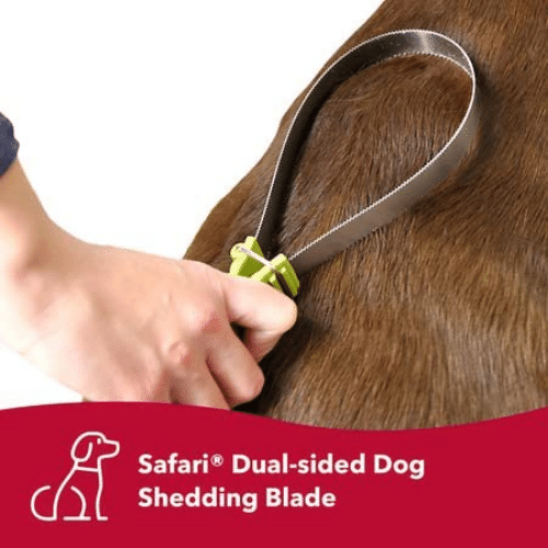 7 Deshedding Tools For Dogs: Find the Perfect Fur-Busting Solution!