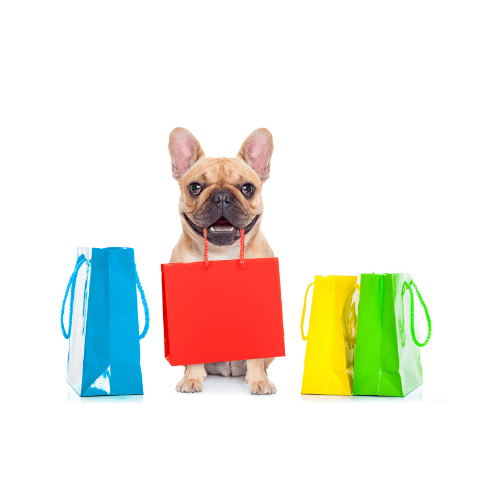 Dress Up Fido: Shopping for Your Dog on Amazon