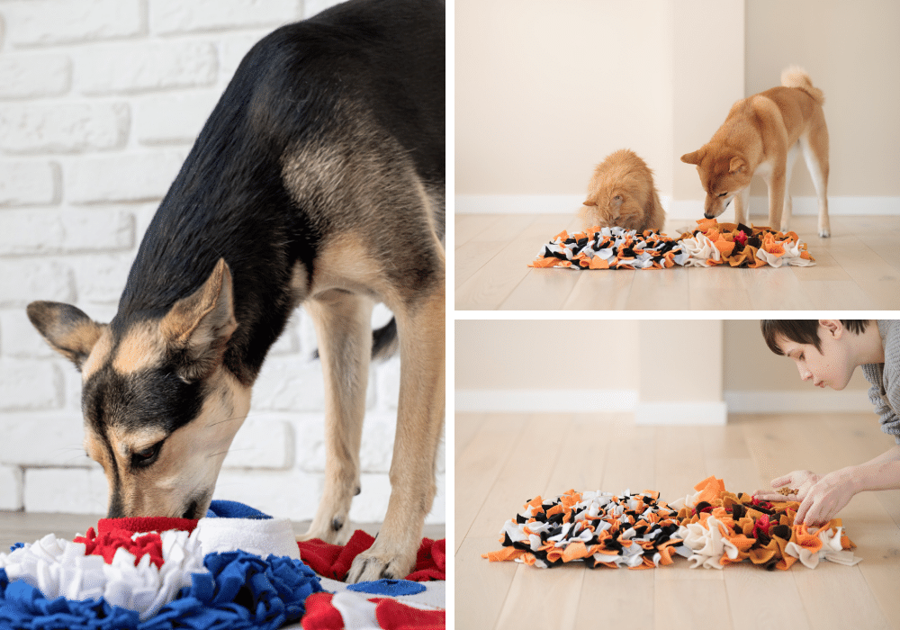 Snuffle Mats Sniff-Test: Sniff Out the Best 5 Snuffle Mats for Your Dog!