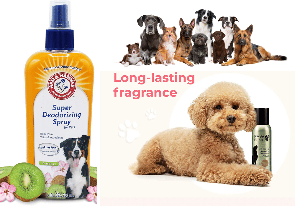 Pup-ular Scents: Ranking the Top 5 Dog Colognes for Furry Friends
