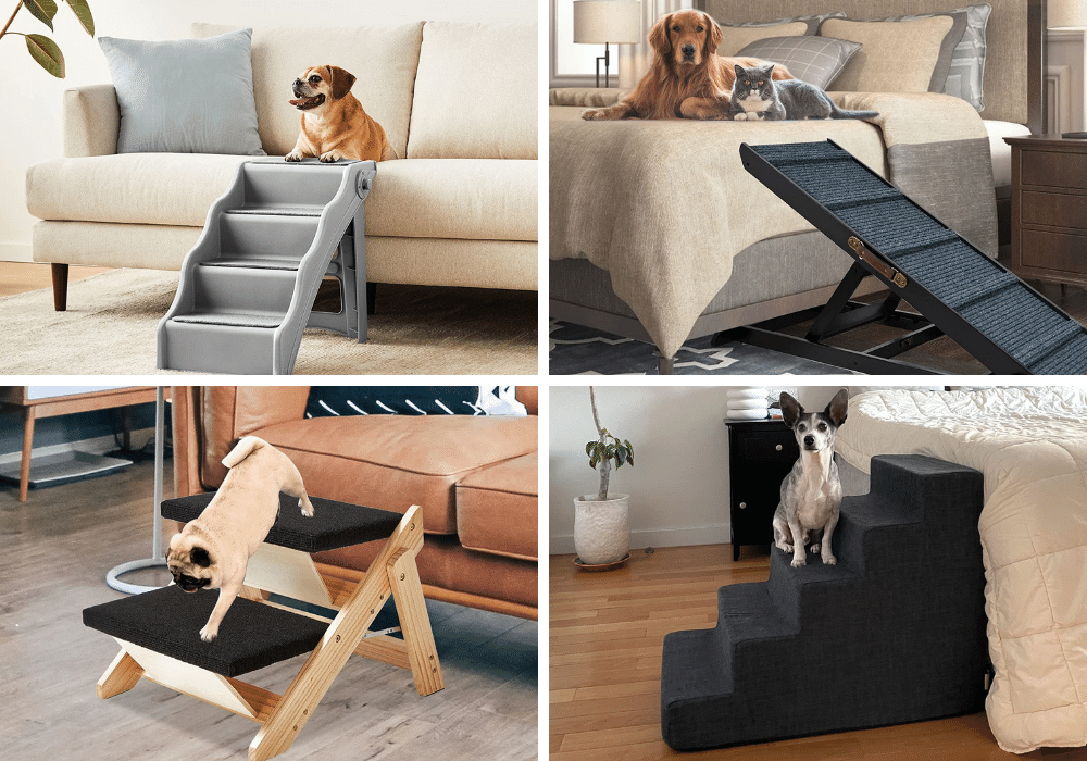 5 Dog Stairs: Helping Fido Conquer New Heights!