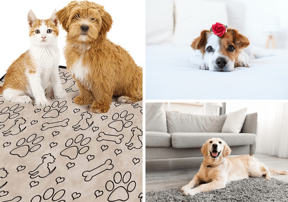 Pledge to Piddle-Proof Your Home: We Review 5 Washable Pee Pads for Dogs