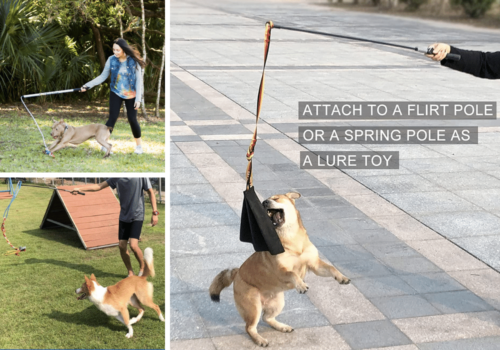 3 Flirt Poles for Dogs: Which One Will Put a Bigger Wiggle in Your Pooch's Tail? (Plus Bonus Replacement Toys!)